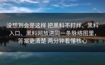 没想到会是这样 把黑料不打烊、黑料入口、黑料网放进同一条脉络图里，答案更清楚 两分钟看懂核心