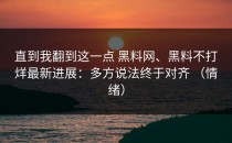 直到我翻到这一点 黑料网、黑料不打烊最新进展：多方说法终于对齐 （情绪）