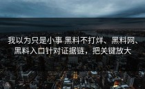 我以为只是小事 黑料不打烊、黑料网、黑料入口针对证据链，把关键放大
