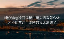 糖心Vlog冷门揭秘：镜头语言怎么做才不翻车？｜刚刚的我太离谱了