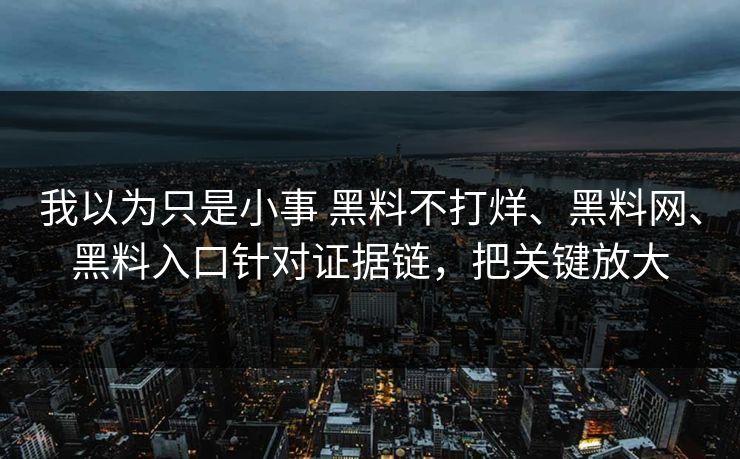 我以为只是小事 黑料不打烊、黑料网、黑料入口针对证据链，把关键放大  第1张