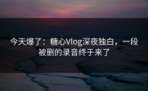 今天爆了：糖心Vlog深夜独白，一段被删的录音终于来了