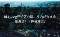 糖心vlog评论区吵翻：反内耗到底谁在说谎？｜你会站谁？
