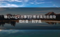 糖心vlog又出事了？断舍离背后是隐藏彩蛋｜别学我