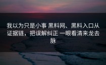 我以为只是小事 黑料网、黑料入口从证据链，把误解纠正 一眼看清来龙去脉