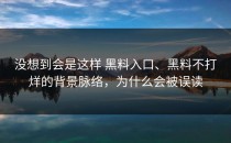没想到会是这样 黑料入口、黑料不打烊的背景脉络，为什么会被误读
