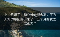 上个月爆了：糖心Vlog断舍离，不为人知的原因终于来了｜上个月的我太温柔刀了