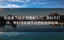 别急着下结论 把黑料入口、黑料不打烊、黑料网关键节点把脉络串起来
