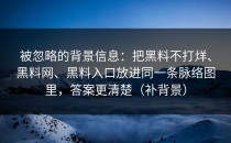 被忽略的背景信息：把黑料不打烊、黑料网、黑料入口放进同一条脉络图里，答案更清楚（补背景）