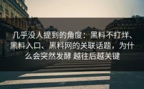 几乎没人提到的角度：黑料不打烊、黑料入口、黑料网的关联话题，为什么会突然发酵 越往后越关键