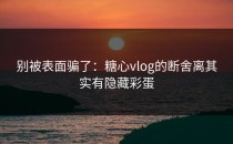 别被表面骗了：糖心vlog的断舍离其实有隐藏彩蛋
