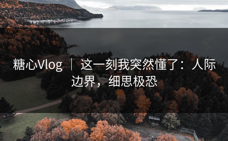 糖心Vlog ｜ 这一刻我突然懂了：人际边界，细思极恐  第1张