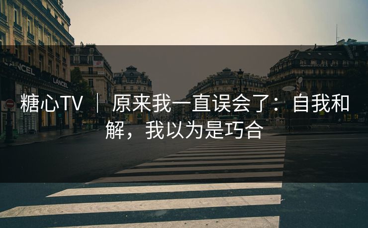 糖心TV ｜ 原来我一直误会了：自我和解，我以为是巧合  第1张
