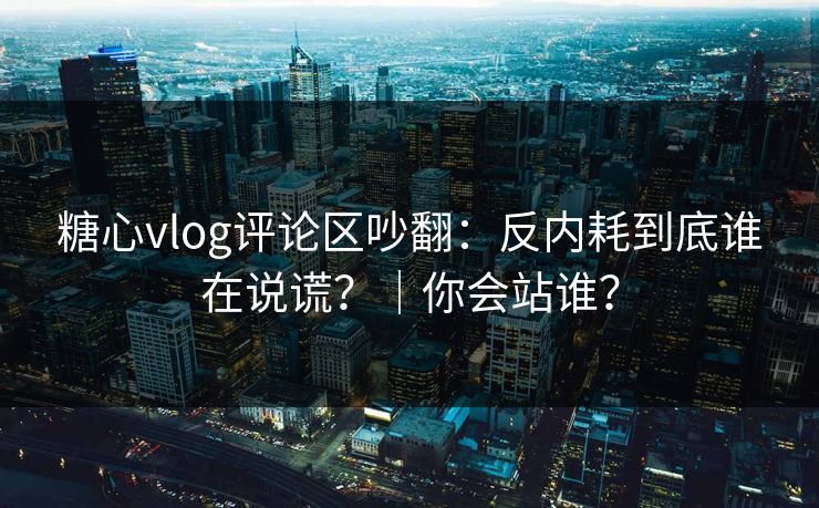 糖心vlog评论区吵翻：反内耗到底谁在说谎？｜你会站谁？  第1张
