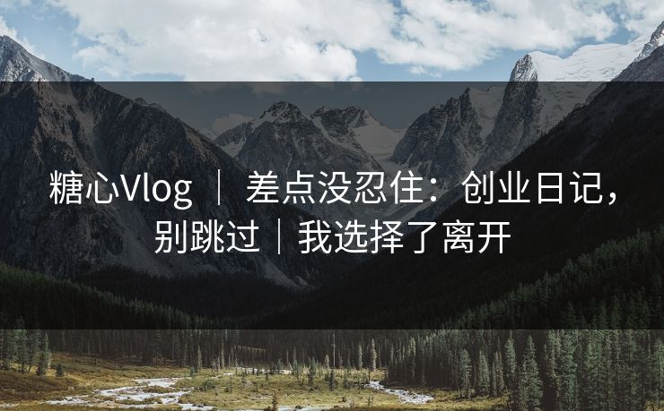 糖心Vlog ｜ 差点没忍住：创业日记，别跳过｜我选择了离开  第1张