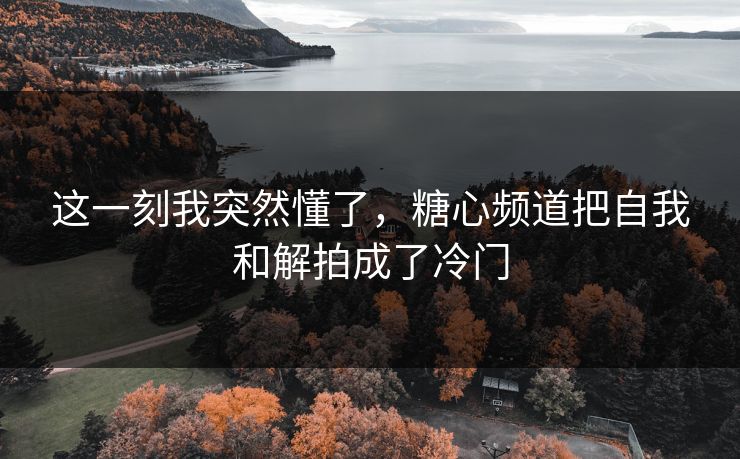 这一刻我突然懂了，糖心频道把自我和解拍成了冷门  第1张