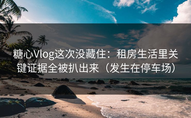 糖心Vlog这次没藏住：租房生活里关键证据全被扒出来（发生在停车场）  第1张