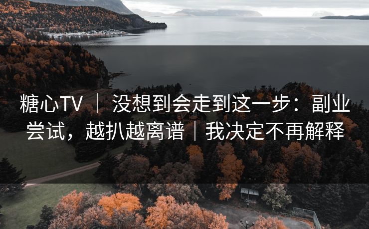 糖心TV ｜ 没想到会走到这一步：副业尝试，越扒越离谱｜我决定不再解释  第1张