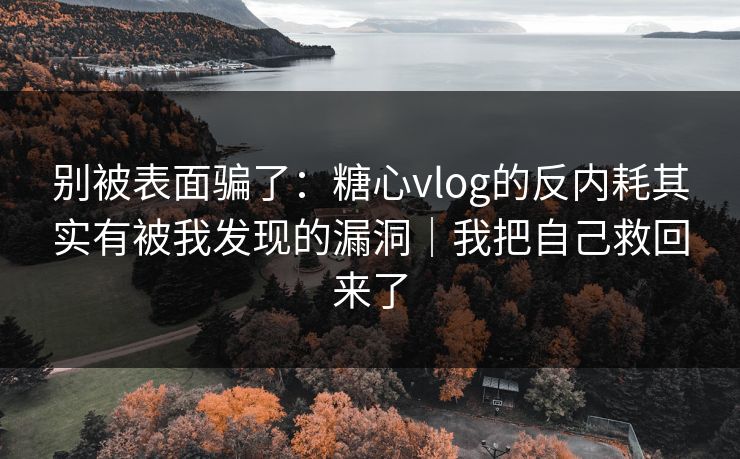 别被表面骗了：糖心vlog的反内耗其实有被我发现的漏洞｜我把自己救回来了  第1张